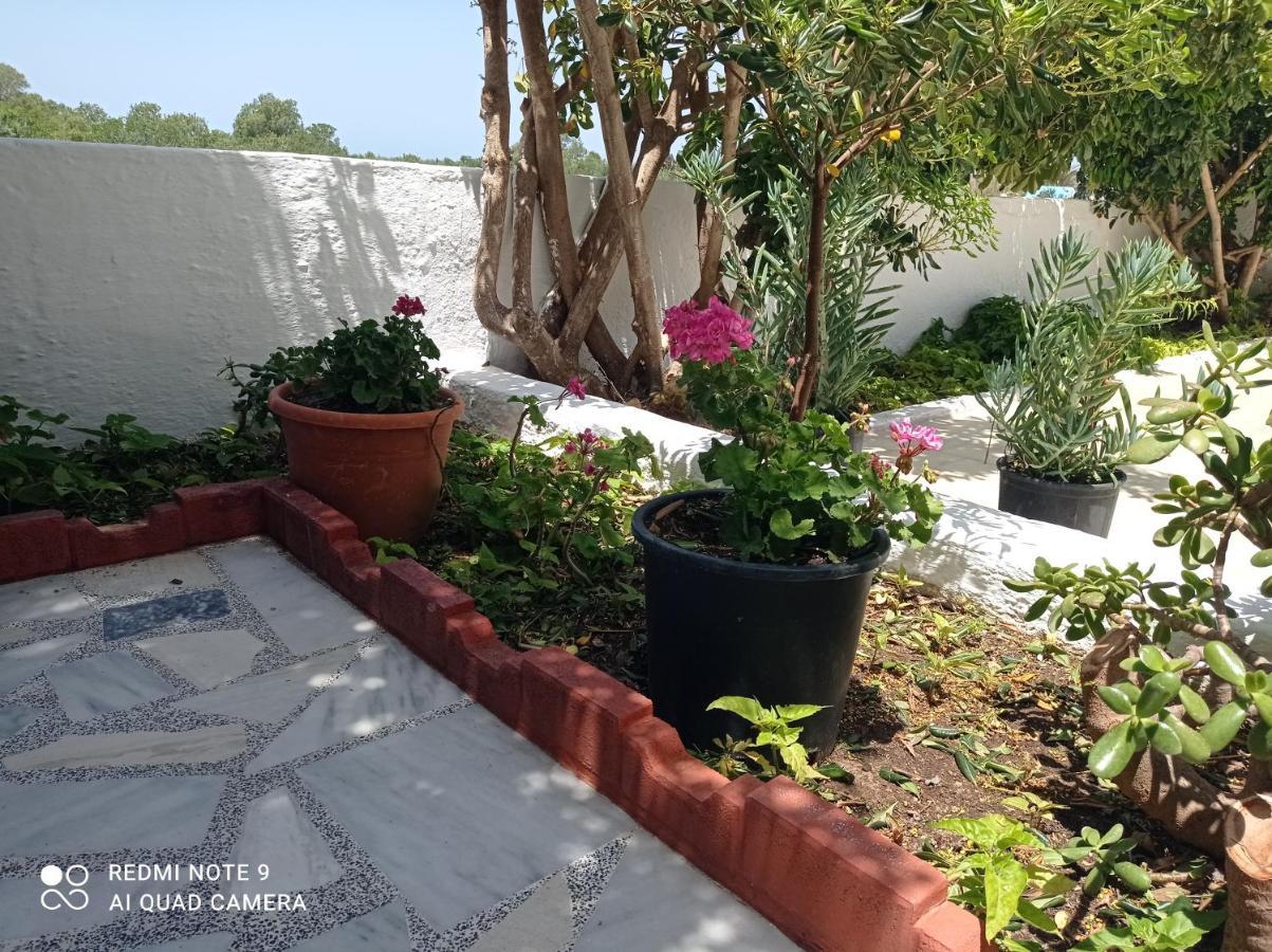 Iasonas Apartments Mastichari  Exteriér fotografie